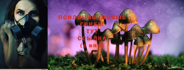 а пвп мука Няндома