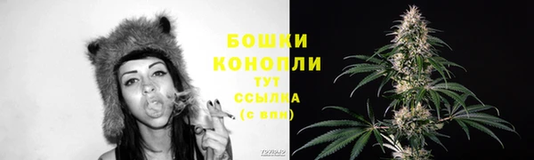 мет Нягань