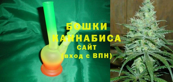 крисы Новодвинск