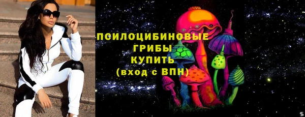 стаф Гусь-Хрустальный