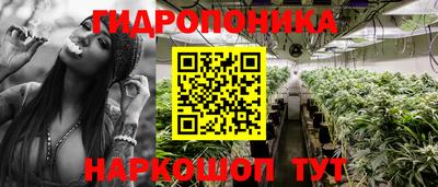 сатива Донской