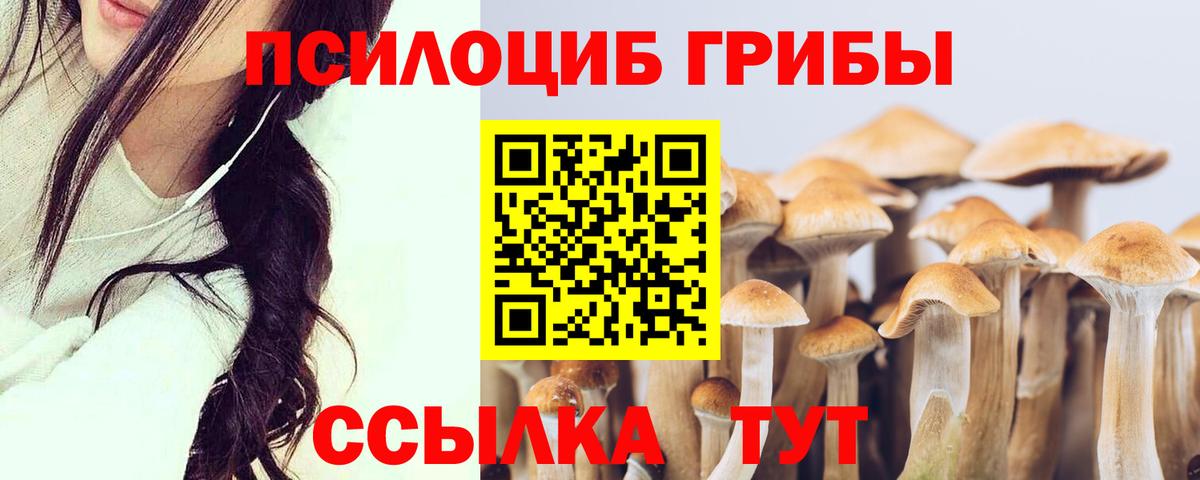 Псилоцибиновые грибы Magic Shrooms Москва